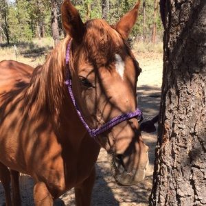 Meet your Posher, Christie